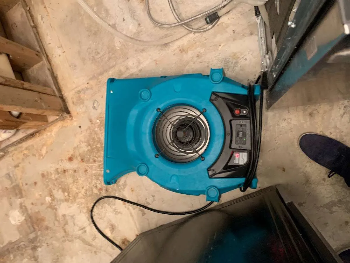 Air mover drying equipment for Mold Remediation & Removal in Greenville